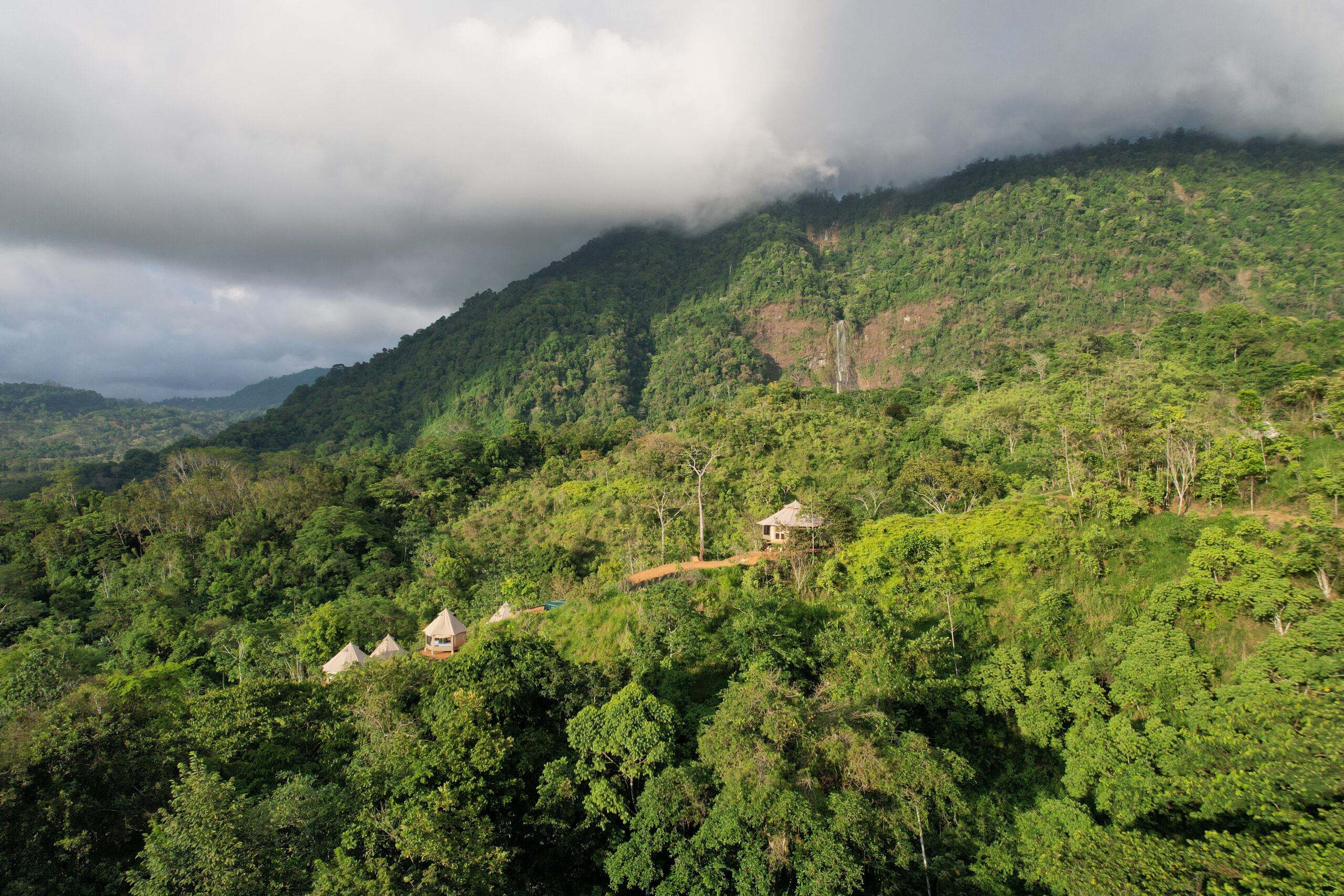 The Regenerative Practitioner Series with In-Person Intensive in Costa Rica, Winter-Spring 2024/2025 - Image 2