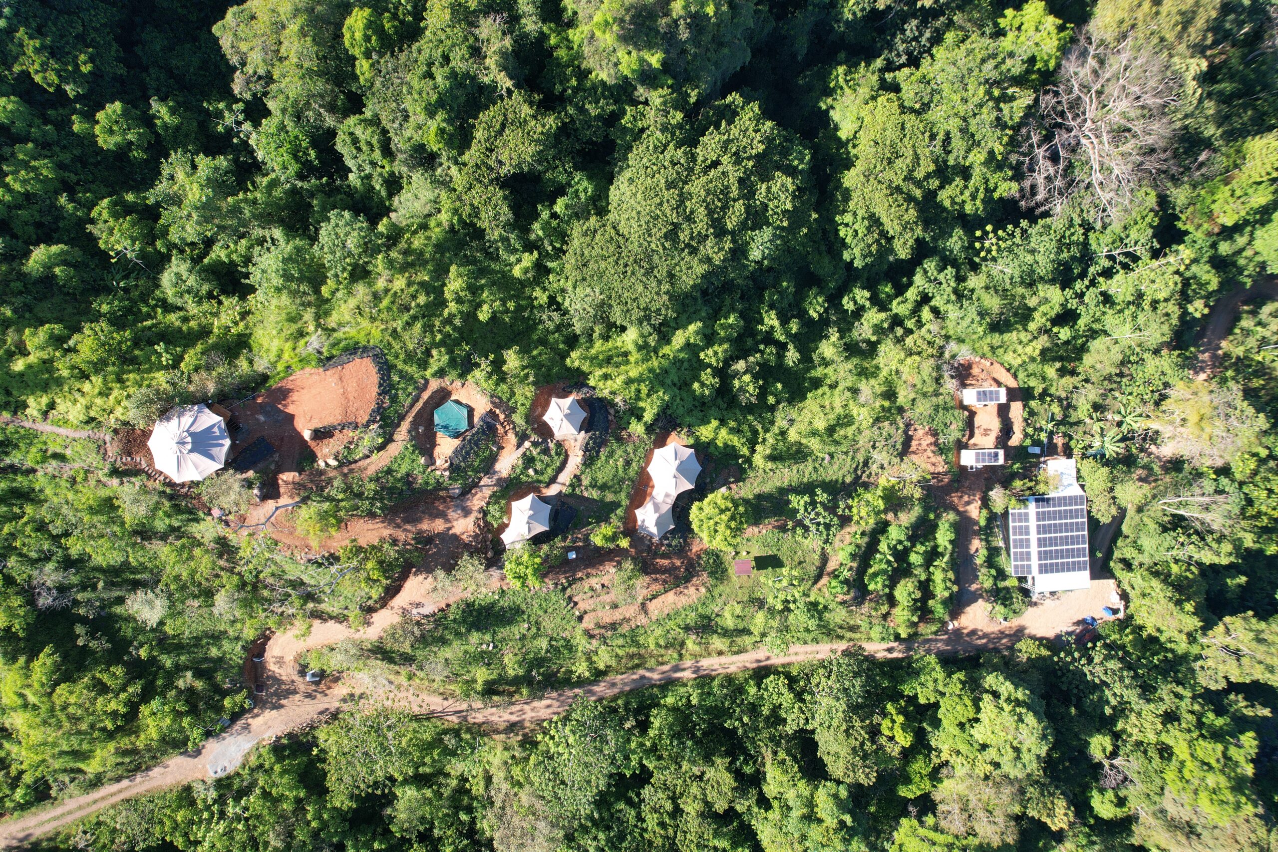 The Regenerative Practitioner Series with In-Person Intensive in Costa Rica, Winter-Spring 2024/2025